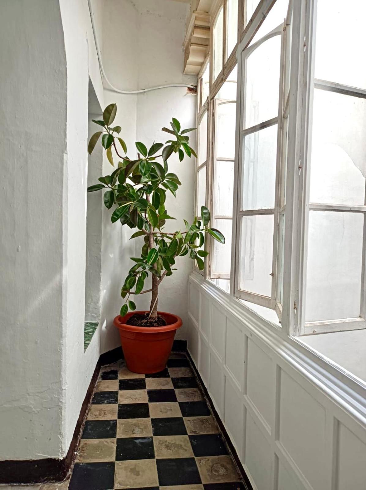 Precioso Apartamento: La Luz De קדיז מראה חיצוני תמונה